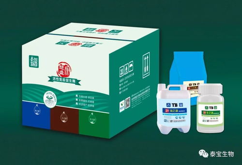 看不见的生命线——根系如何成为作物产量的决定性因素