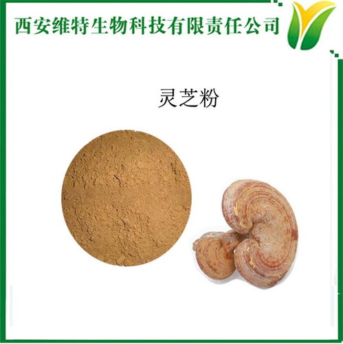 灵芝提取物与灵芝粉 维特生物的技术优势与应用前景