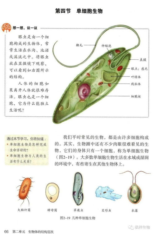 七年级上册生物电子课本 高清PDF版如何高效辅助学习
