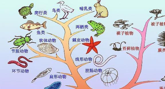 生物链 vs 食物链 生态系统中不可或缺的两个环节