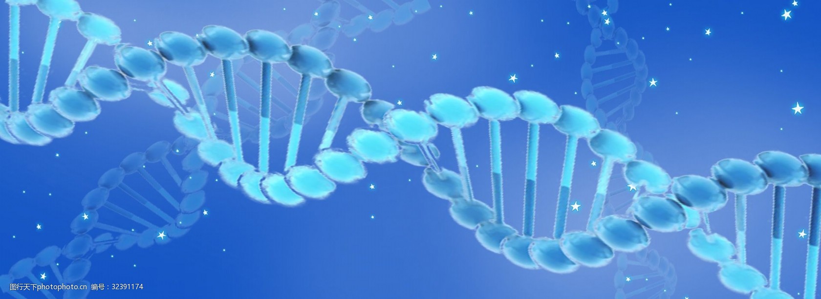 生物说课的艺术 从PPT设计到教学魅力提升策略