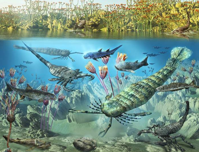 地球46亿年历史,发生了5次生物大灭绝,人类怎么能主宰地球?