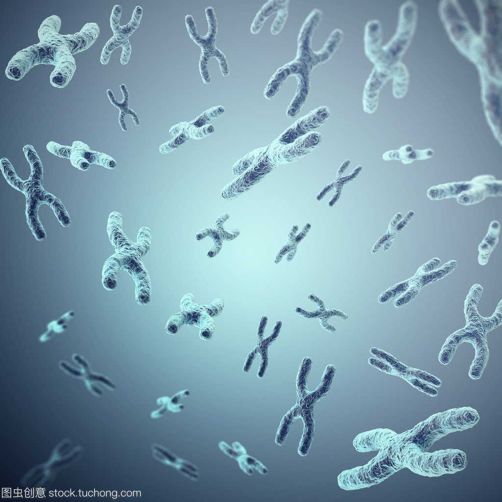 灰幕下的生命密码 X染色体与遗传奥秘的生物学探索