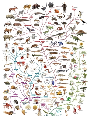 天空之迷与生命之问 美国UFO报告背后的科学与想象