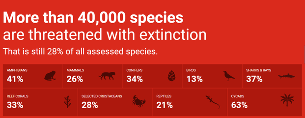 濒危物种红色名录 全球生物多样性的“健康体检报告”