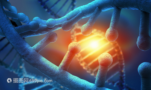 蓝色背景下的生命密码 DNA分子的生物化学探秘